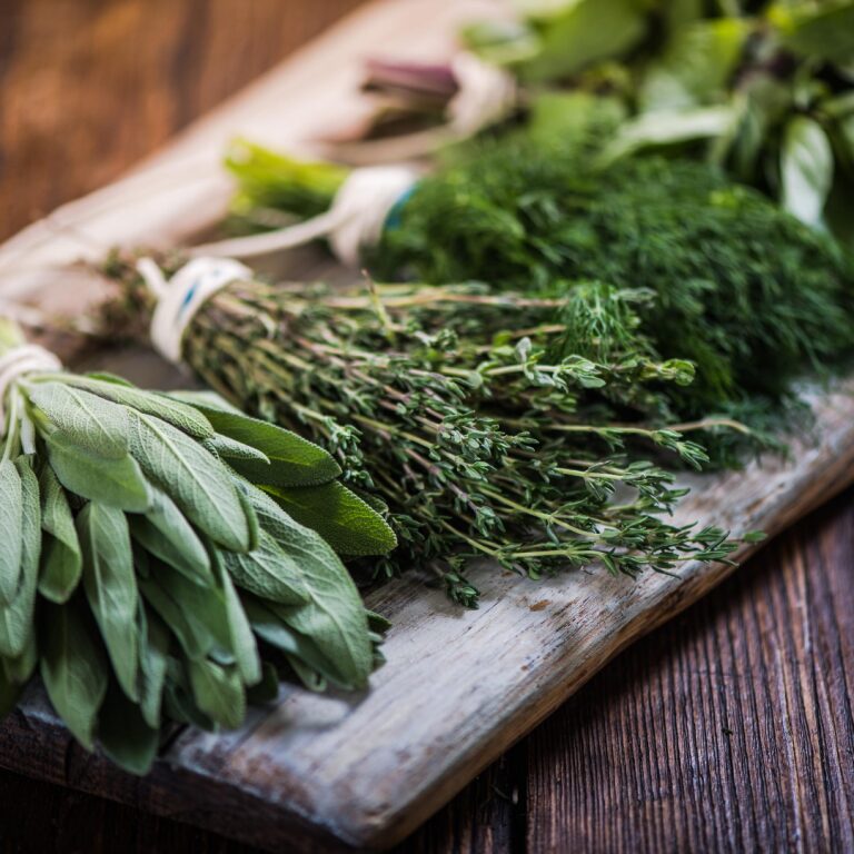 Green Medicine: A 4-Month Training in Herbalism