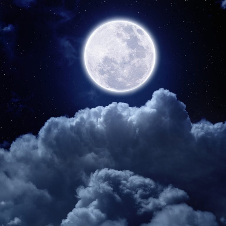 Full Moon Celebration in The Sign of Leo