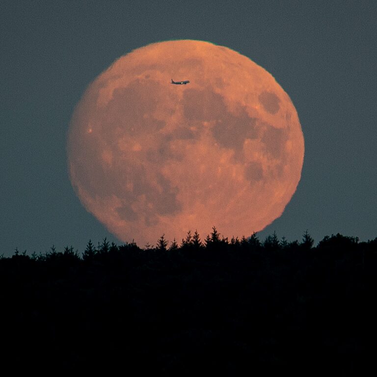 Full Wolf Moon Ceremony with Drumming