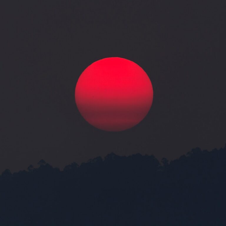 Full Strawberry Moon in Central Park