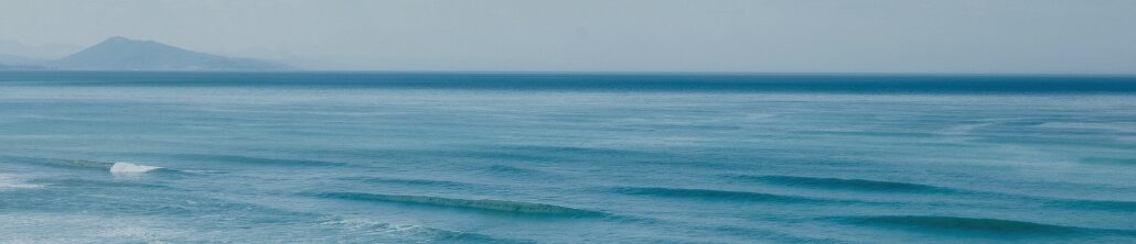 Priti Robyn Banner