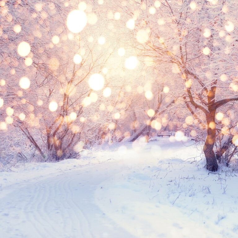 Winter Solstice Ritual Celebration