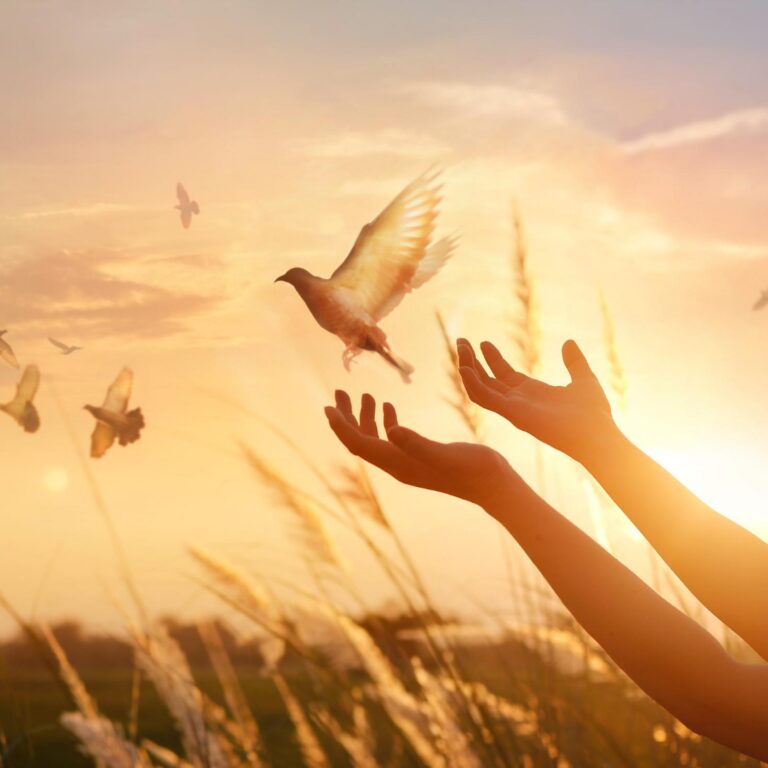 Certificate In The Art Of Dying: Integrative Thanatology | A Death Education Counselor Program | Spring 2022