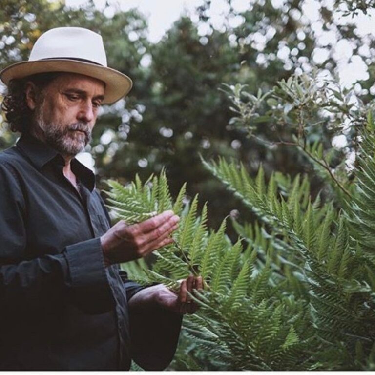 Introduction to The Matrix of Magic: Using Medicinal Plants & Mysticism to Heal Our Energetic Bodies & Our Connection to Nature