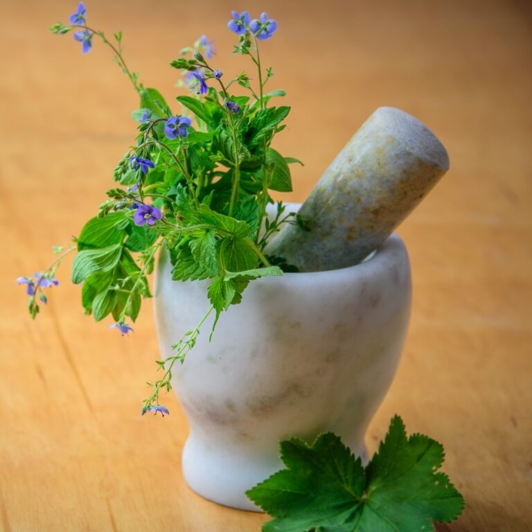 The Matrix of Energy: How Botanicals, Prana & Qi Bridge Consciousness