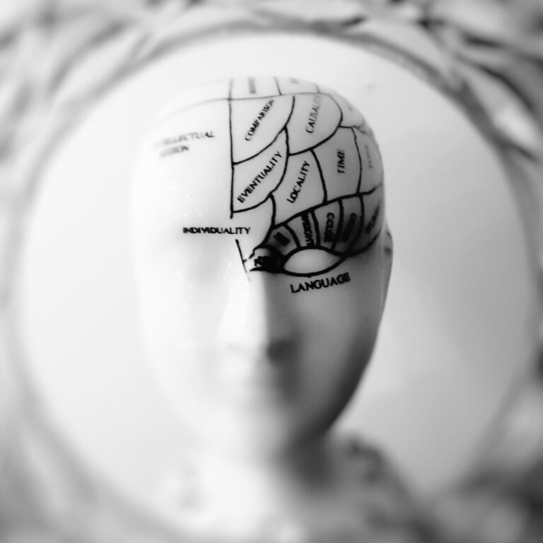Bliss Brain: The Neuroscience of Remodeling Your Brain for Resilience, Creativity & Joy