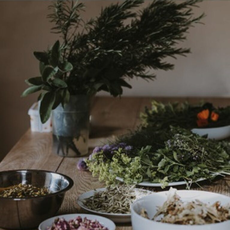 Plant Remedies: Food as Medicine