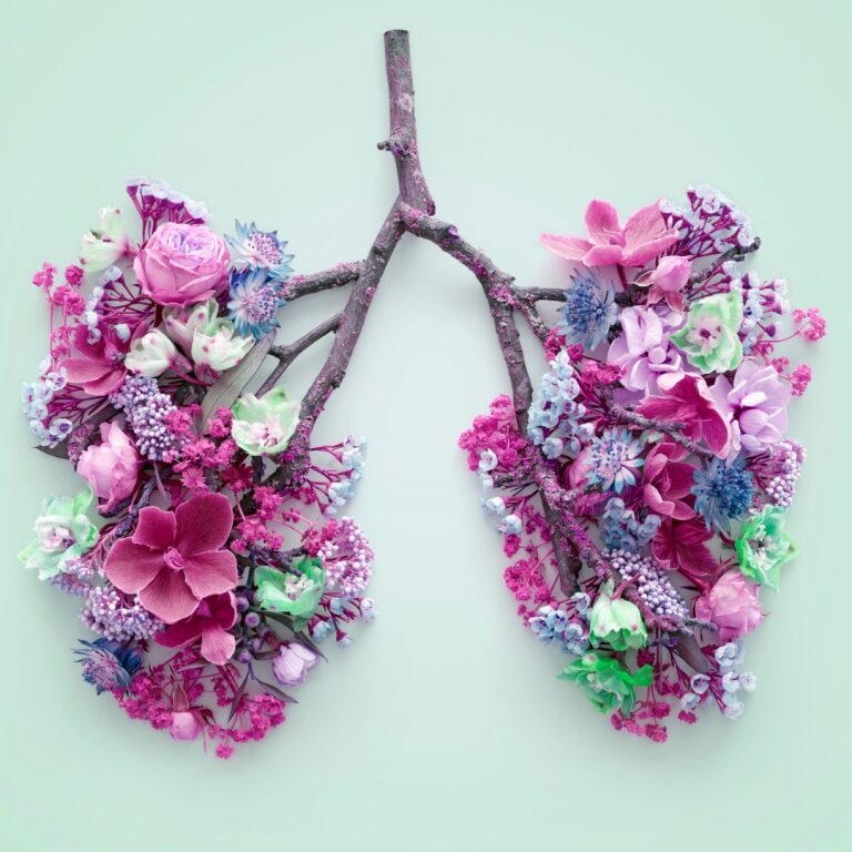 The Body of Wisdom Practices for Breath Facilitators (Part 3)