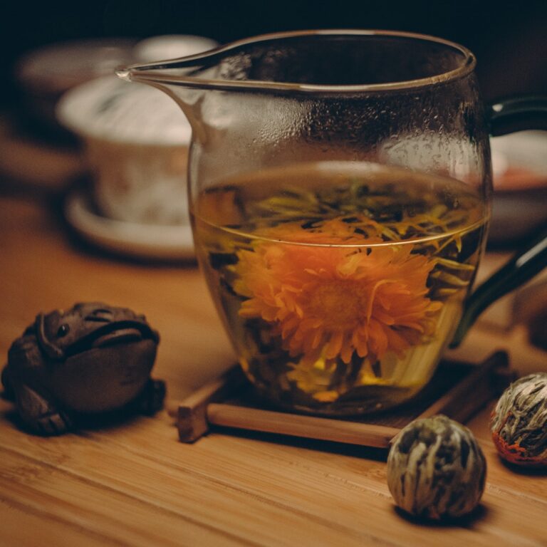 Introduction to Chinese Medicine and Taoism
