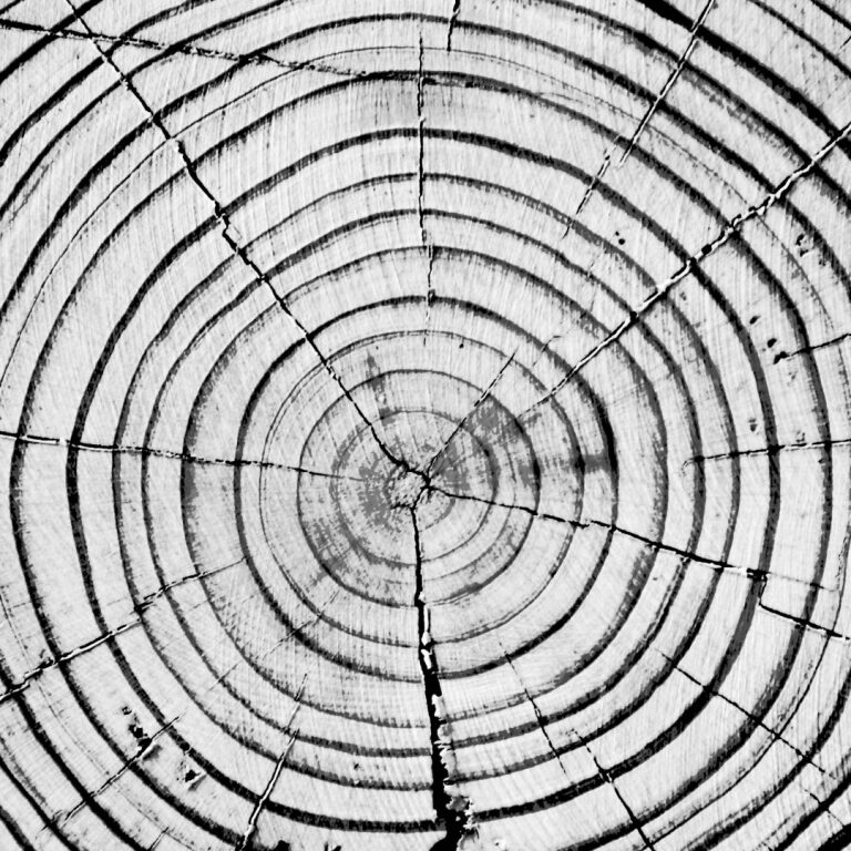 Reiki Circle – March