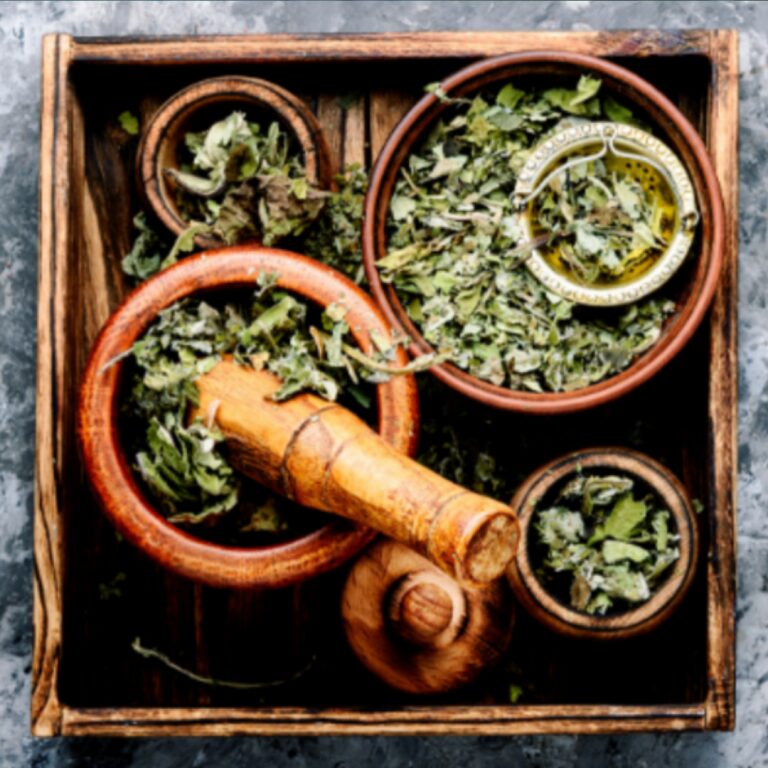 An Apprenticeship in Herbal Medicine & Earth Rituals